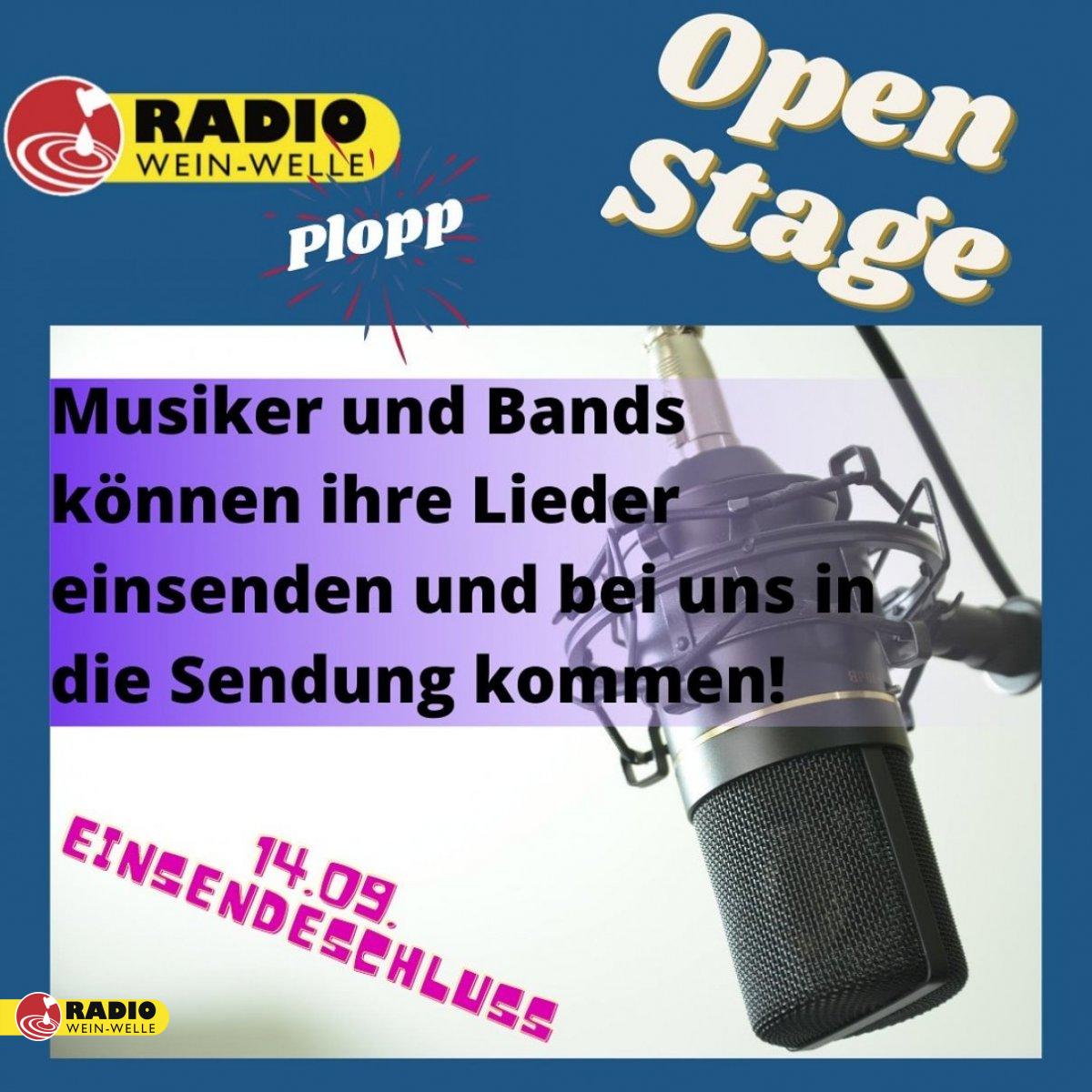 Musiker und Bands gesucht